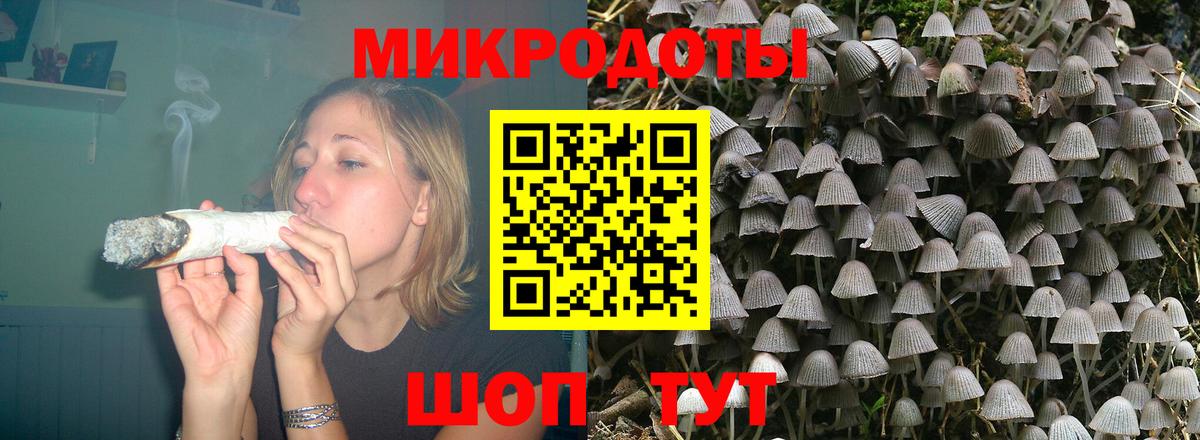 Кимовск  Галлюциногенные грибы Cubensis  наркотики  Вход с VPN 