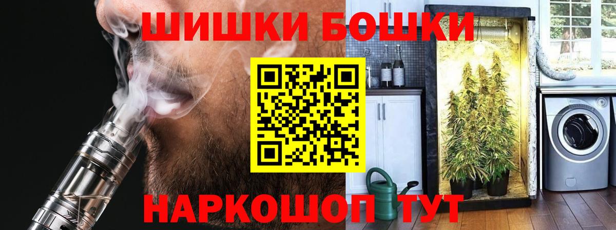 Конопля сатива Кимовск